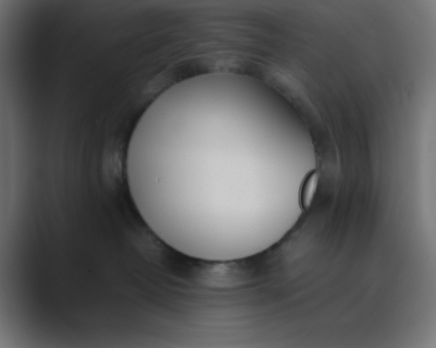 X0000089360382200706291046