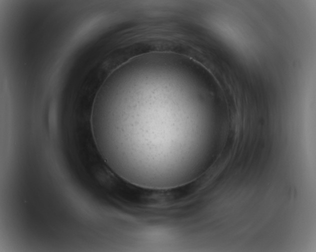 X0000089360383200706291046