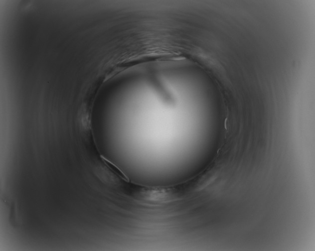 X0000089360384200706291046