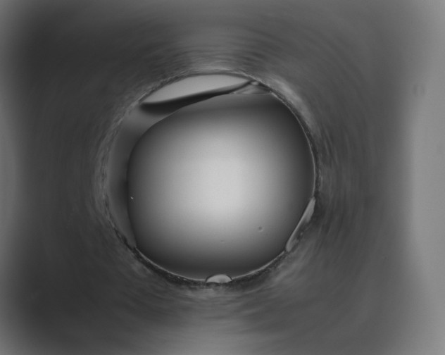 X0000089360385200706291046