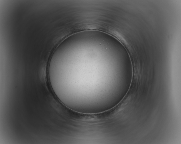 X0000089360386200706291046