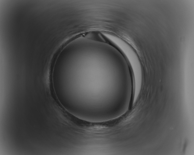 X0000089360387200706291046