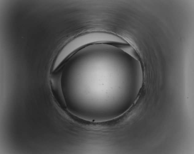 X0000089360389200706291046