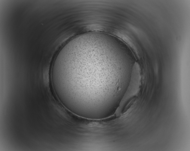 X0000089360390200706291046