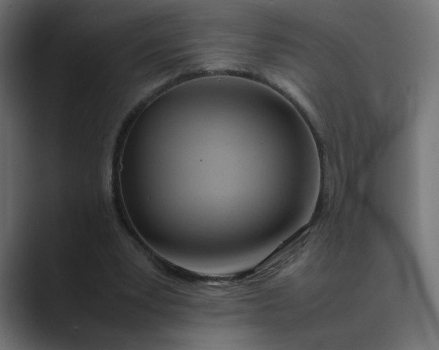 X0000089360391200706291045