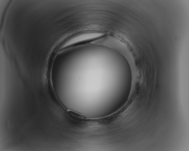 X0000089360392200706291045