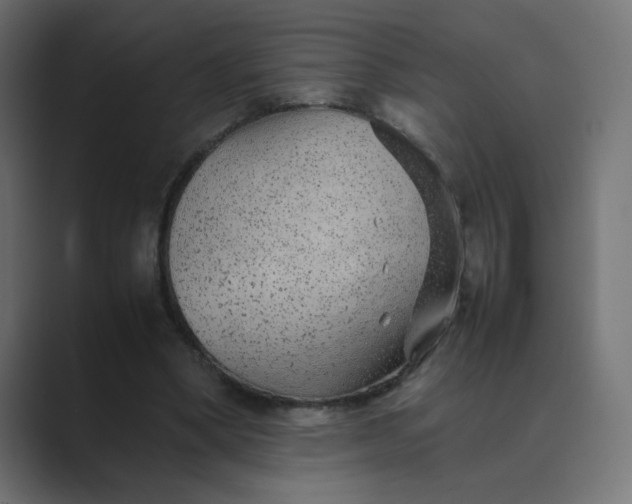 X0000089360394200706291045