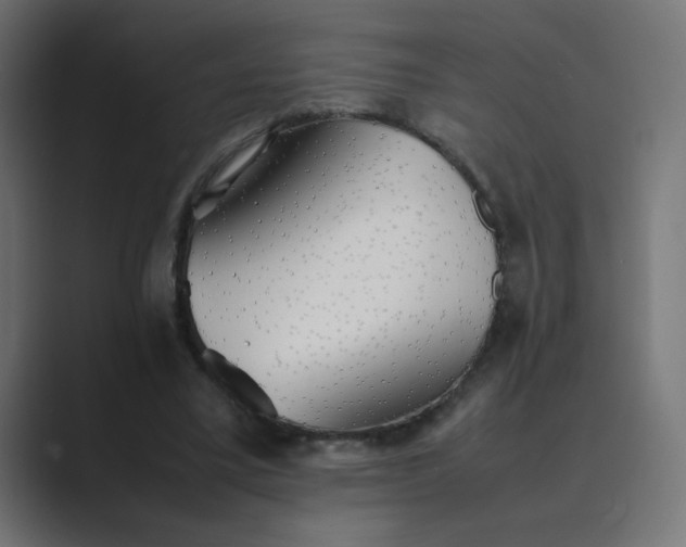 X0000089360395200706291045