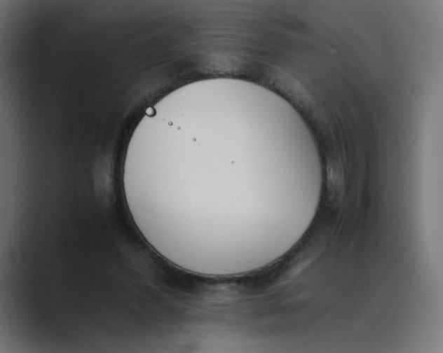 X0000089360396200706291045