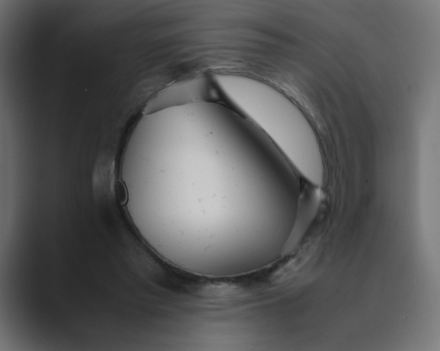 X0000089360397200706291045