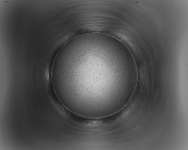 X0000089360398200706291045