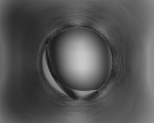 X0000089360399200706291045