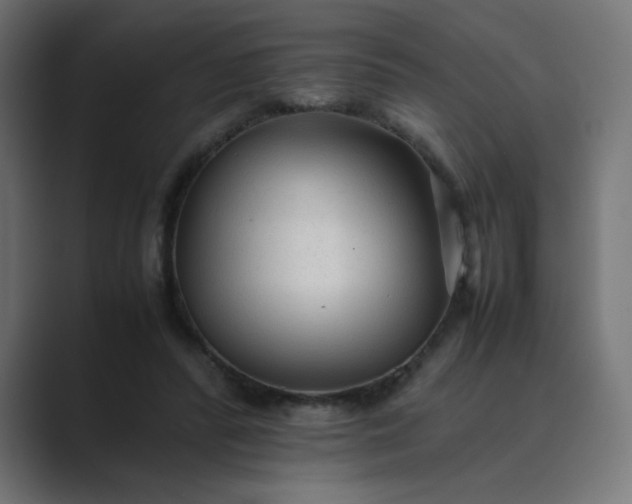 X0000089360400200706291045