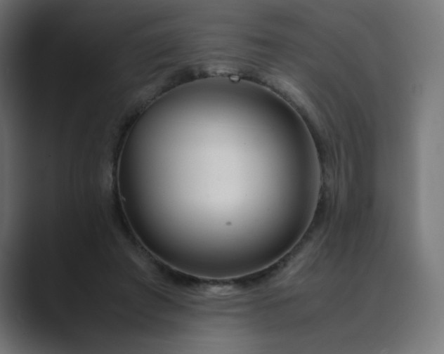 X0000089360401200706291045