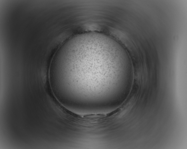 X0000089360402200706291045