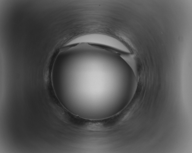 X0000089360403200706291045