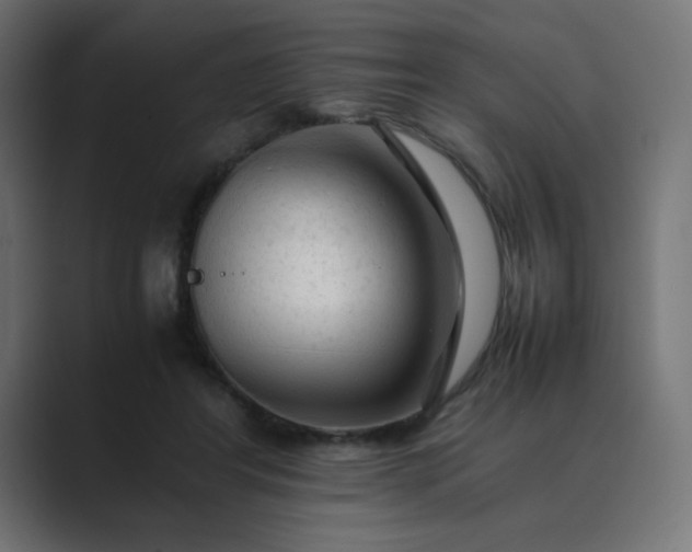 X0000089360404200706291045