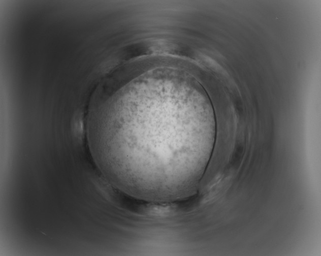 X0000089360405200706291045