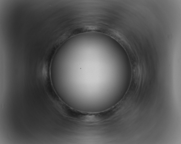 X0000089360406200706291045