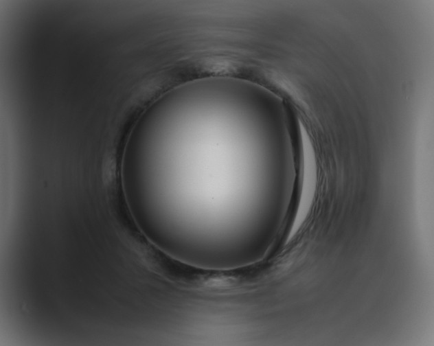 X0000089360407200706291045