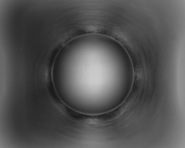 X0000089360408200706291045