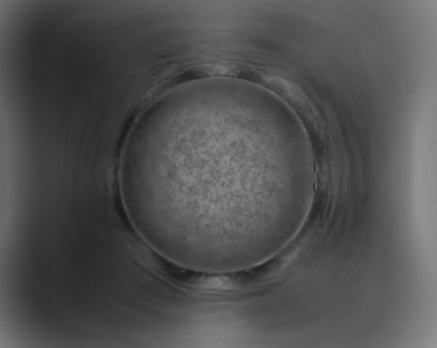 X0000089360409200706291045