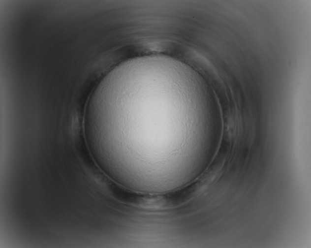 X0000089360410200706291045