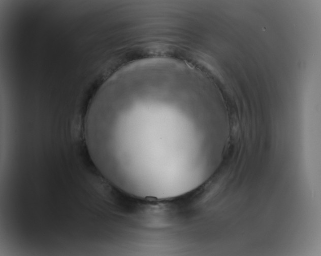 X0000089360411200706291045