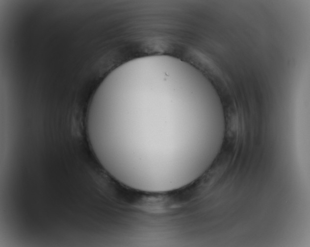 X0000089360414200706291045