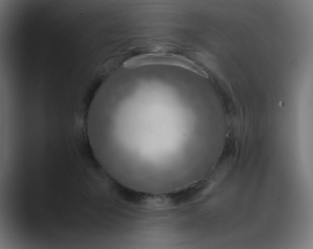 X0000089360415200706291045