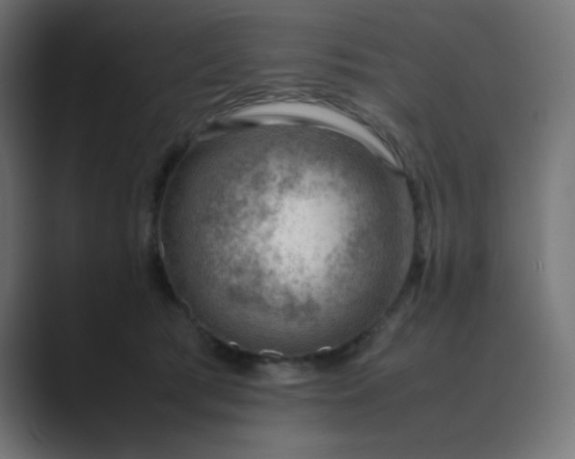 X0000089360417200706291045