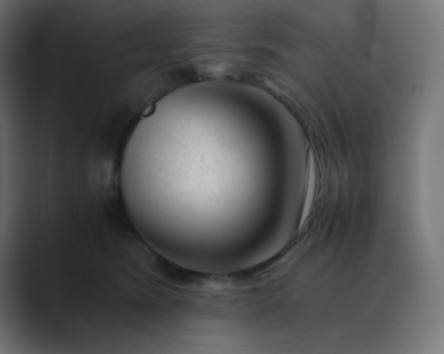 X0000089360420200706291045