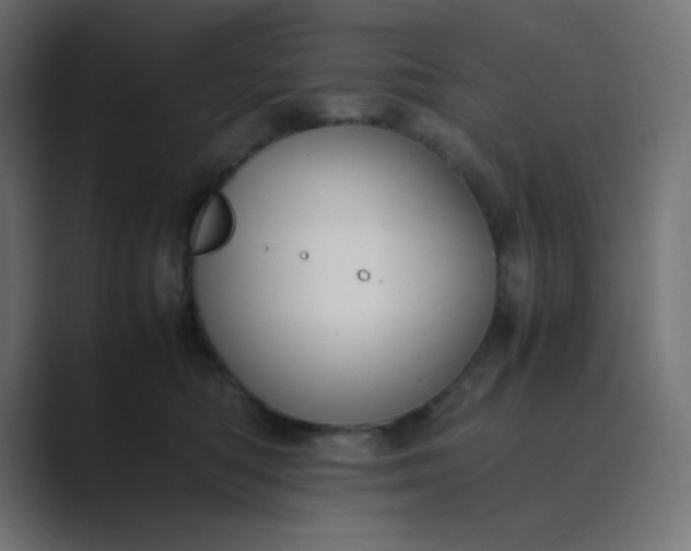 X0000089360422200706291045