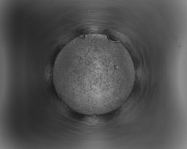 X0000089360423200706291045