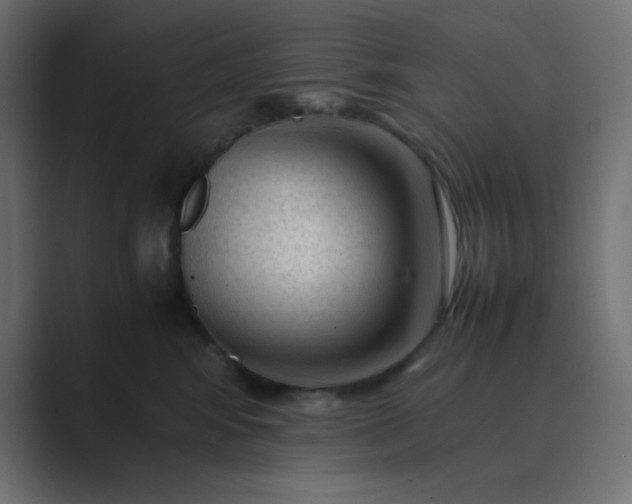 X0000089360424200706291045