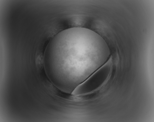 X0000089360425200706291045