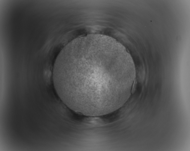 X0000089360427200706291045