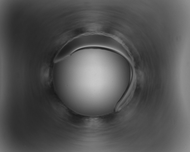 X0000089360428200706291045