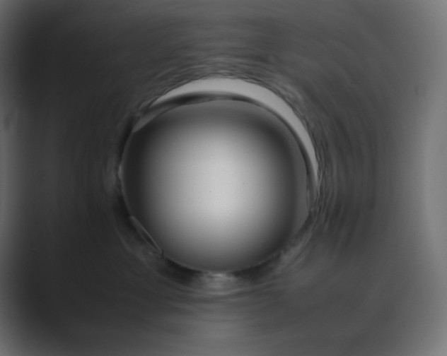 X0000089360429200706291045