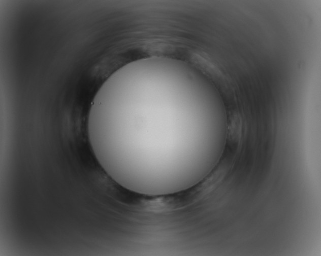 X0000089360430200706291045