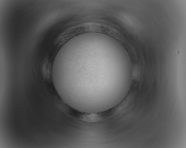 X0000089360431200706291045