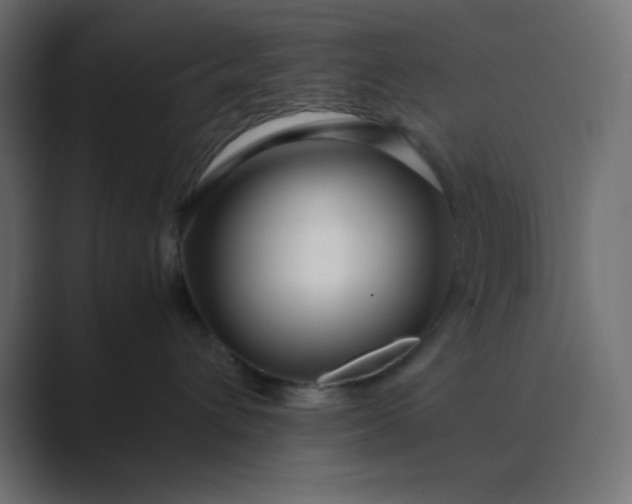 X0000089360432200706291045