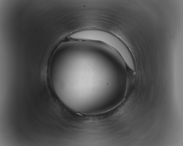 X0000089360434200706291044