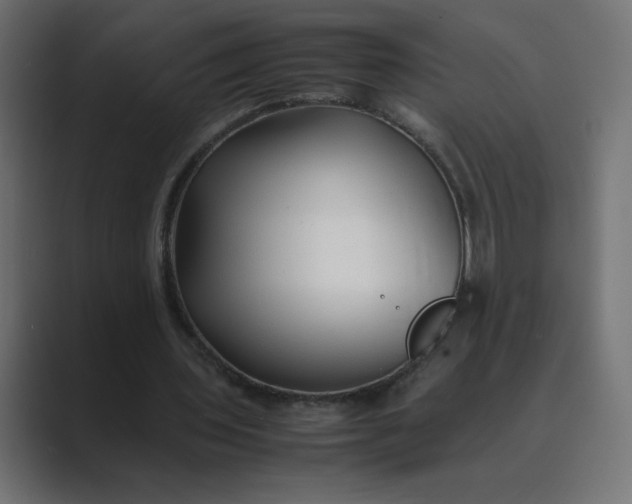 X0000089360435200706291044