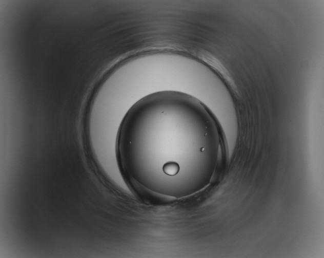 X0000089360436200706291044