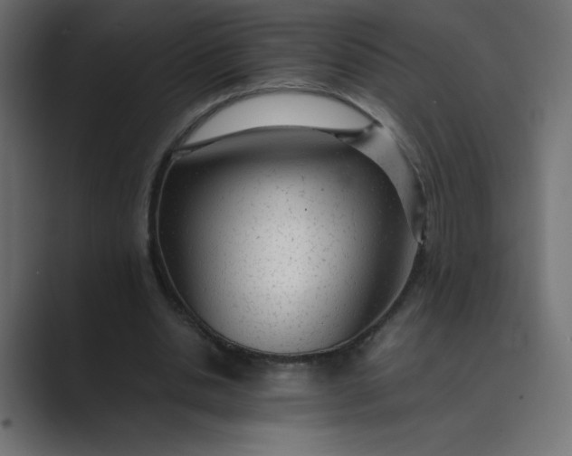 X0000089360438200706291044