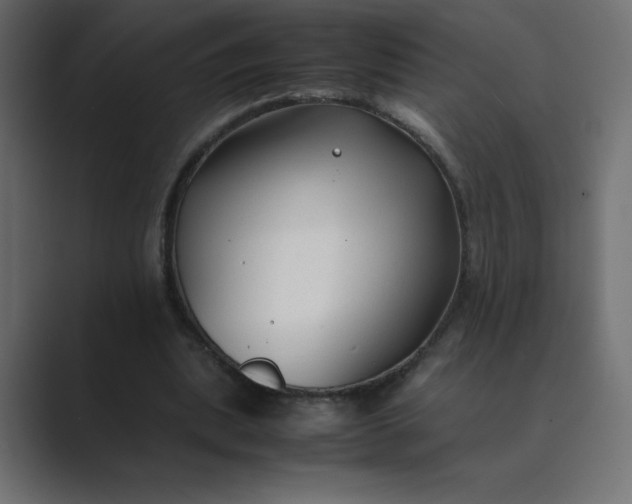 X0000089360439200706291044