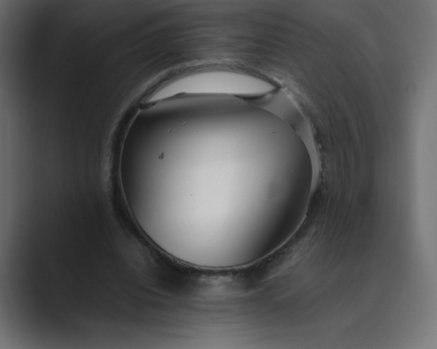 X0000089360440200706291044