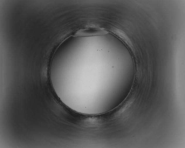 X0000089360441200706291044