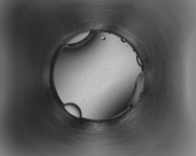 X0000089360442200706291044